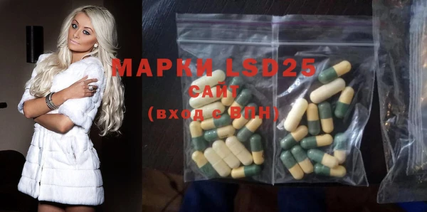 хмурый Алексин