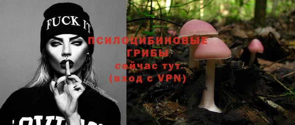 сатива Алзамай