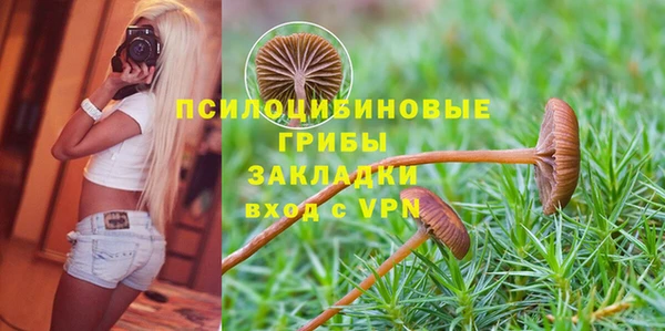 хмурый Алексин