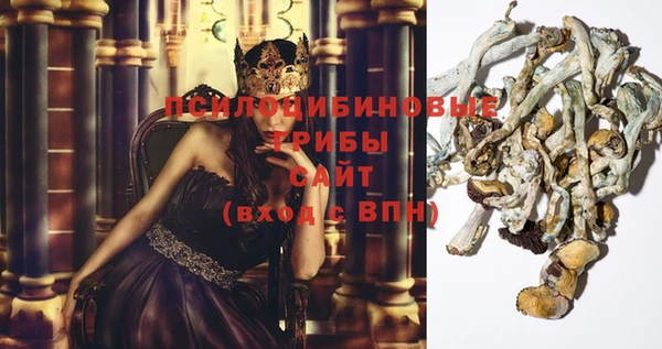 хмурый Алексин