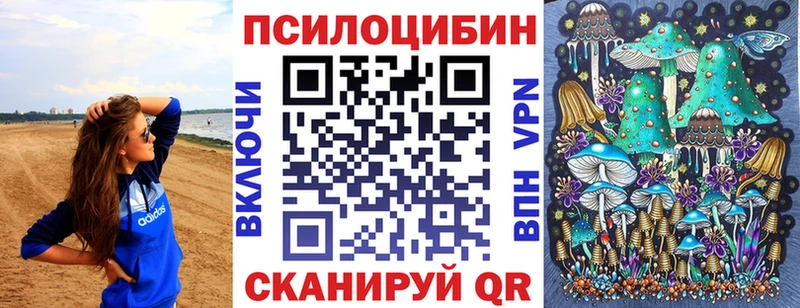 Псилоцибиновые грибы GOLDEN TEACHER  сколько стоит  Ахтубинск 