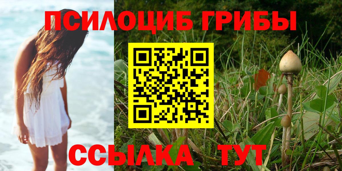 Псилоцибиновые грибы мухоморы  Вход с VPN  Ахтубинск 